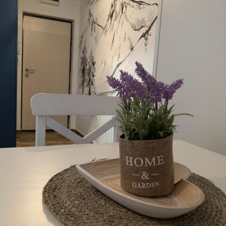Studio apartman OLAF - One-Bedroom Apartment - 1