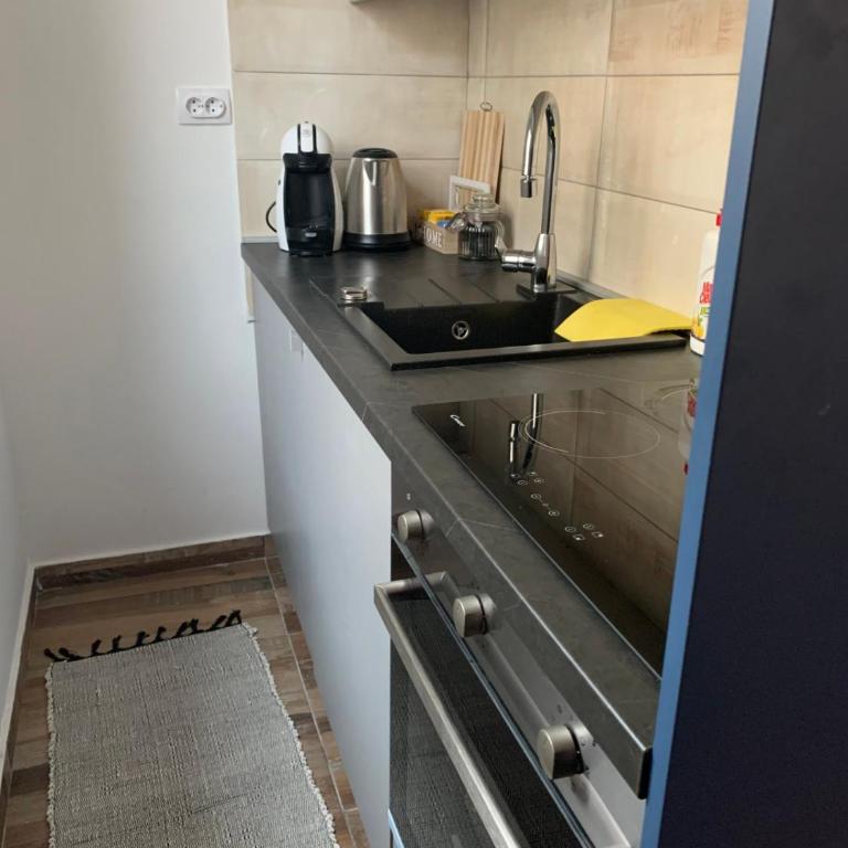 Studio apartman OLAF - One-Bedroom Apartment - 15