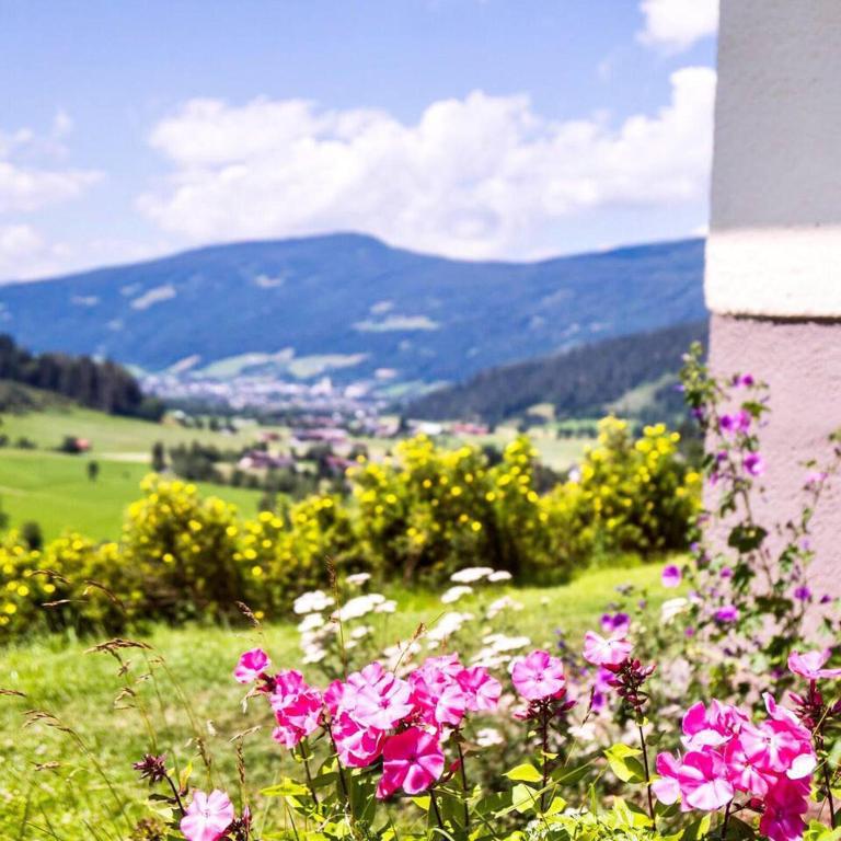 Chalet selfcatering 30 beds Parking pets welcome - Ferienhaus - 26