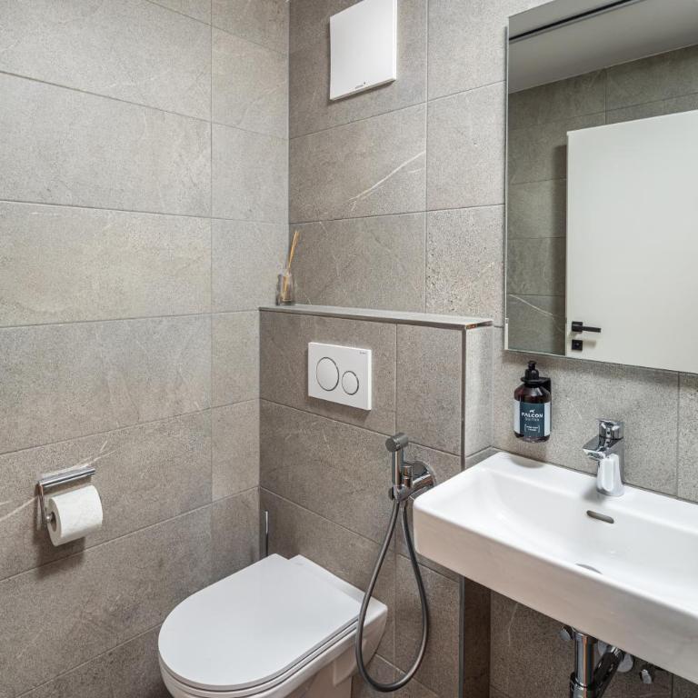 Falcon Suites Kaprun - Summercard included - Apartment mit 1 Schlafzimmer - 5