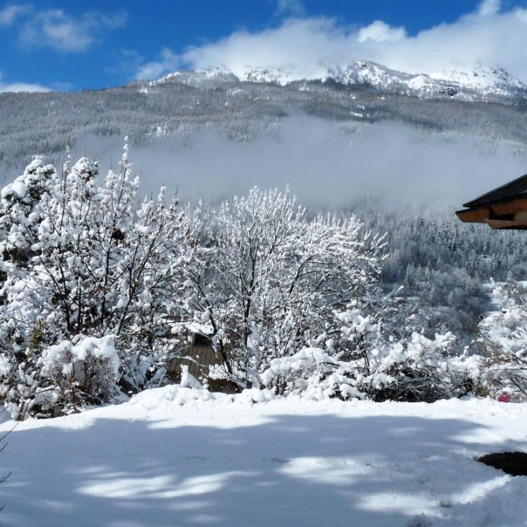 Le Carré de Bois - Chalet 2 Chambres - 25