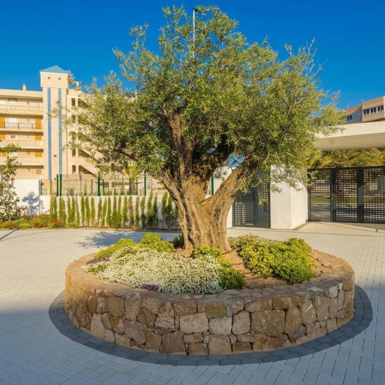 Arenales - Apartamento - 20