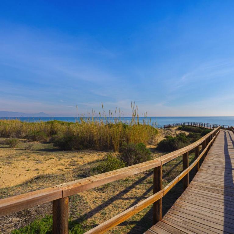 Arenales - Apartamento - 29