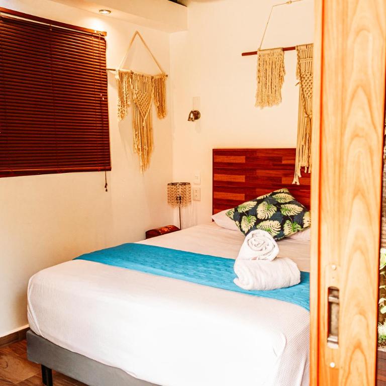 Blue Bird - Habitación Deluxe - 1