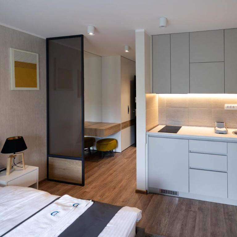Omega Apartments - Deluks Studio sa Bračnim Krevetom (King-size) - 1