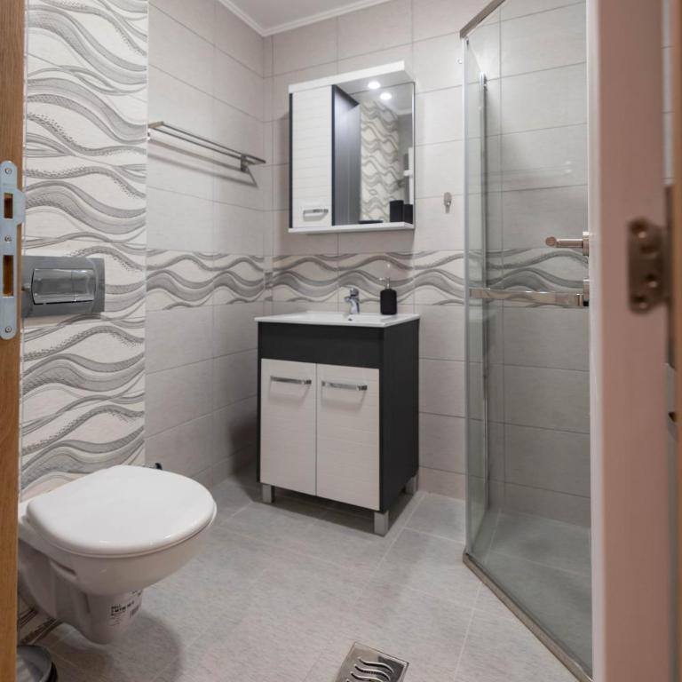Omega Apartments - Deluks Studio sa Bračnim Krevetom (King-size) - 4