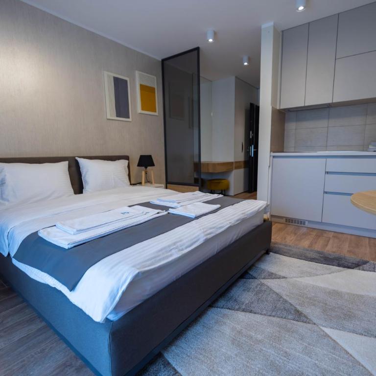 Omega Apartments - Deluks Studio sa Bračnim Krevetom (King-size) - 8