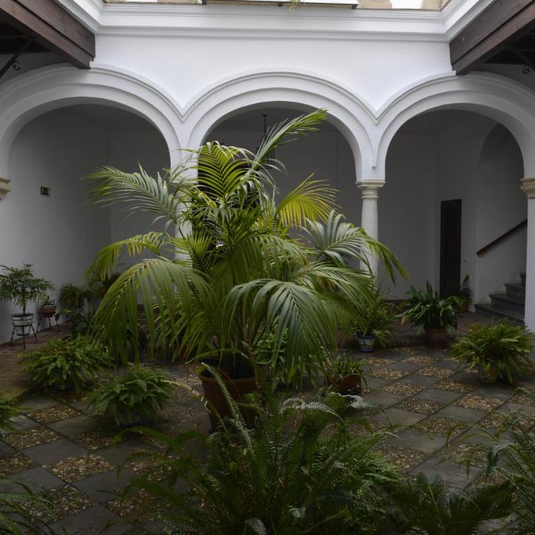 CASA PALACIO LAS PALOMAS - Apartamento de 3 dormitorios - 5