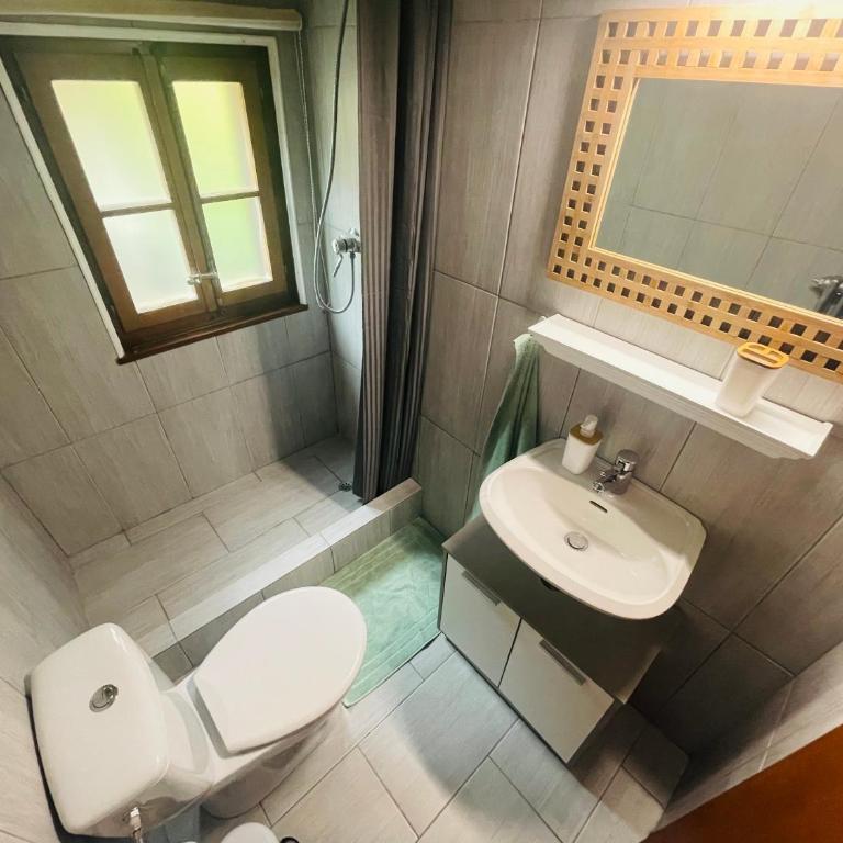 Studio cosy avec sauna & terrasses alpines - Studio-Apartment - 26