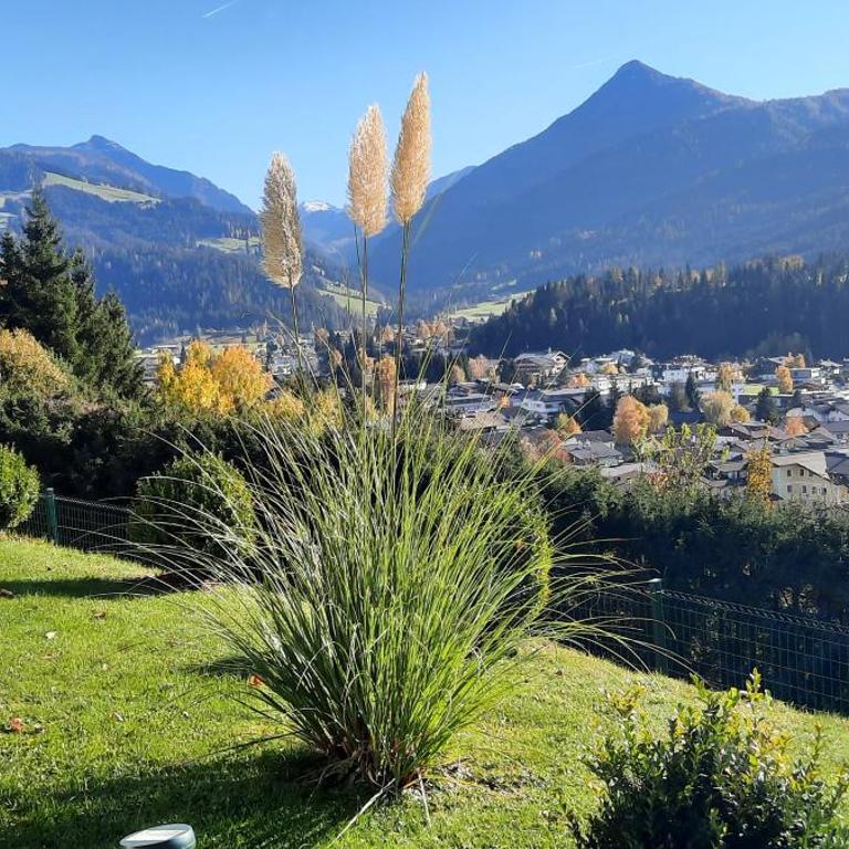 Appartement Thunhart Wilfried&Elisabeth - Appartamento Standard - 18