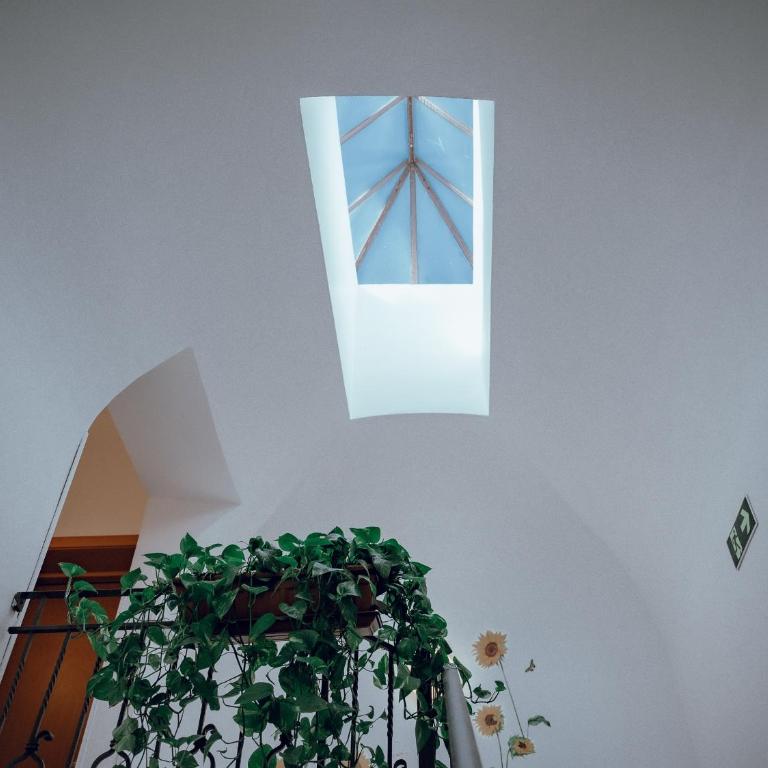 Hotel Francesco - Camera Tripla - 7