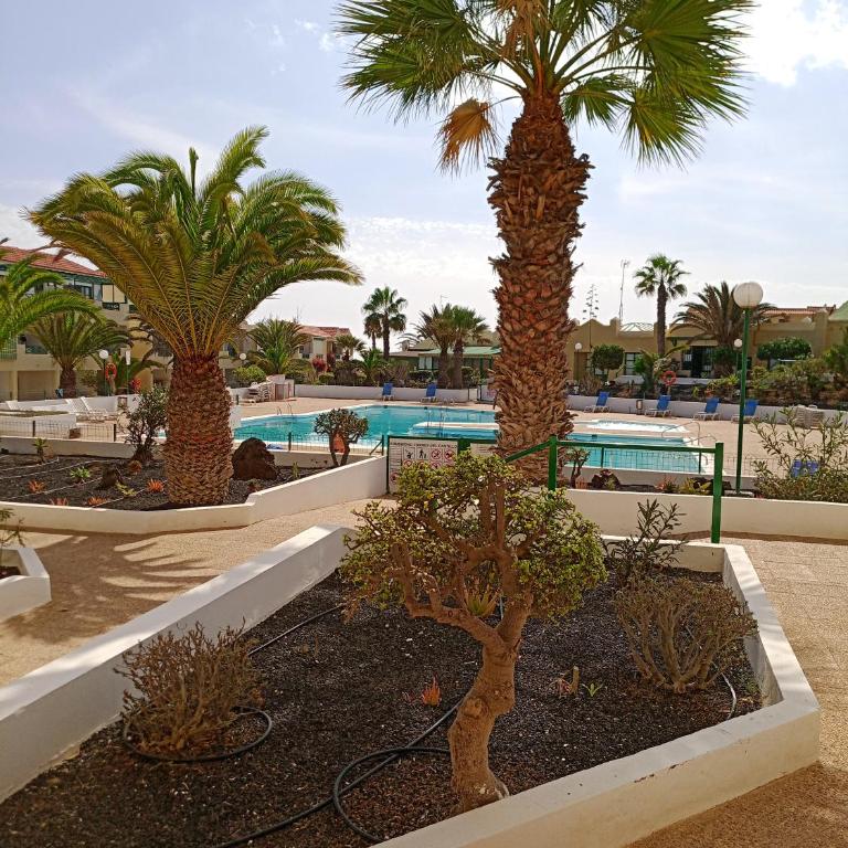 Las Torres Del Castillo-120 Palms - Apartamento de 1 dormitorio - 1