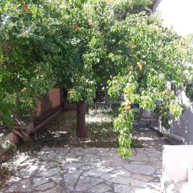 LE GALLI en plein cœur de Sanary - Apartment mit 1 Schlafzimmer - 25