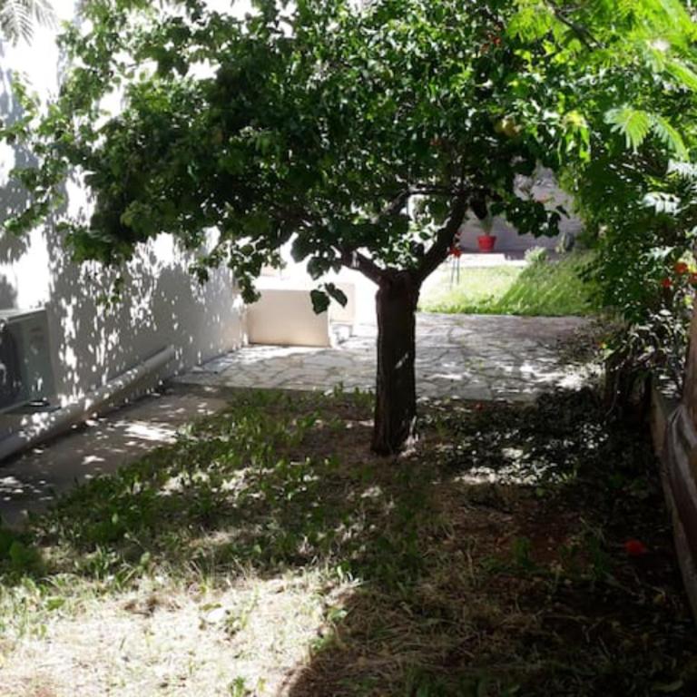 LE GALLI en plein cœur de Sanary - Apartment mit 1 Schlafzimmer - 24