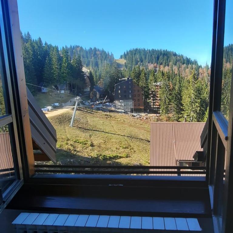 Pino apartman Jahorina - One-Bedroom Apartment - 12