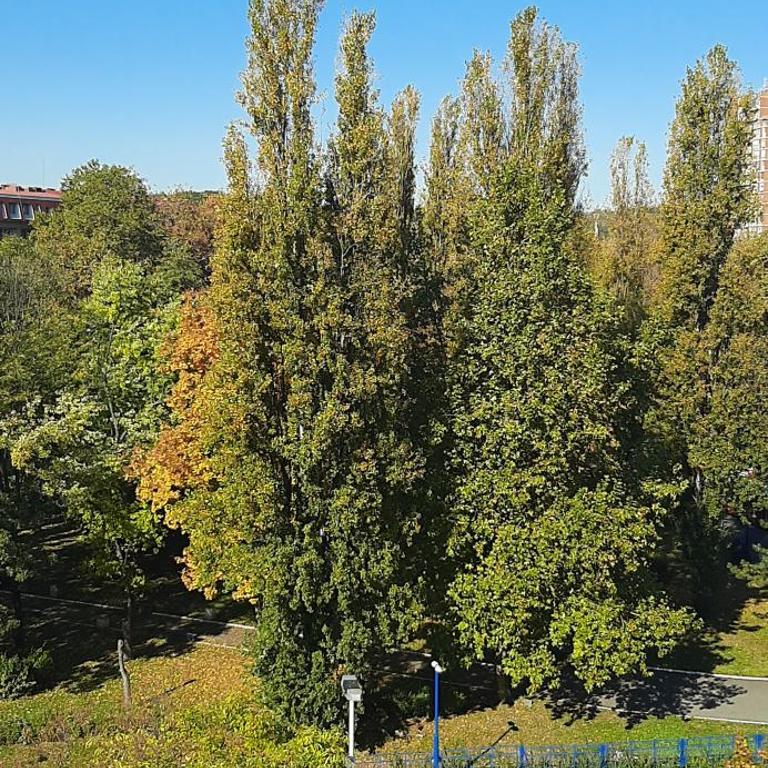 Apartment Student city, Wifi 300MBs, Free parking - Apartman sa 1 Spavaćom Sobom - 14