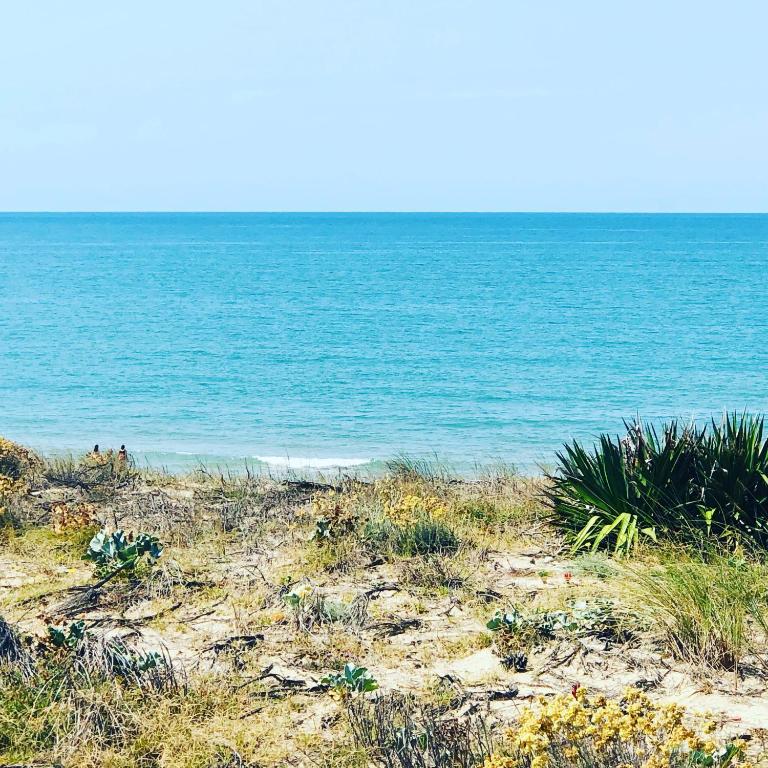 Appartement rez-de-chaussée entre dunes et ocean - Apartment mit 1 Schlafzimmer - 21