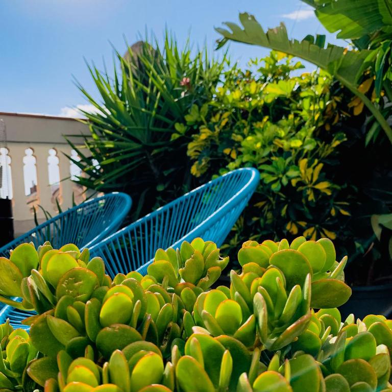 Incredible 2BR Penthouse with Urban Rooftop Garden - Apartamento de 2 dormitorios - 24