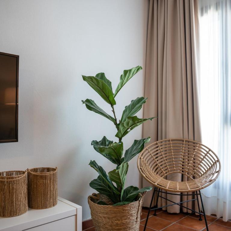 Chada Morro Jable - Apartamento de 2 dormitorios - 5