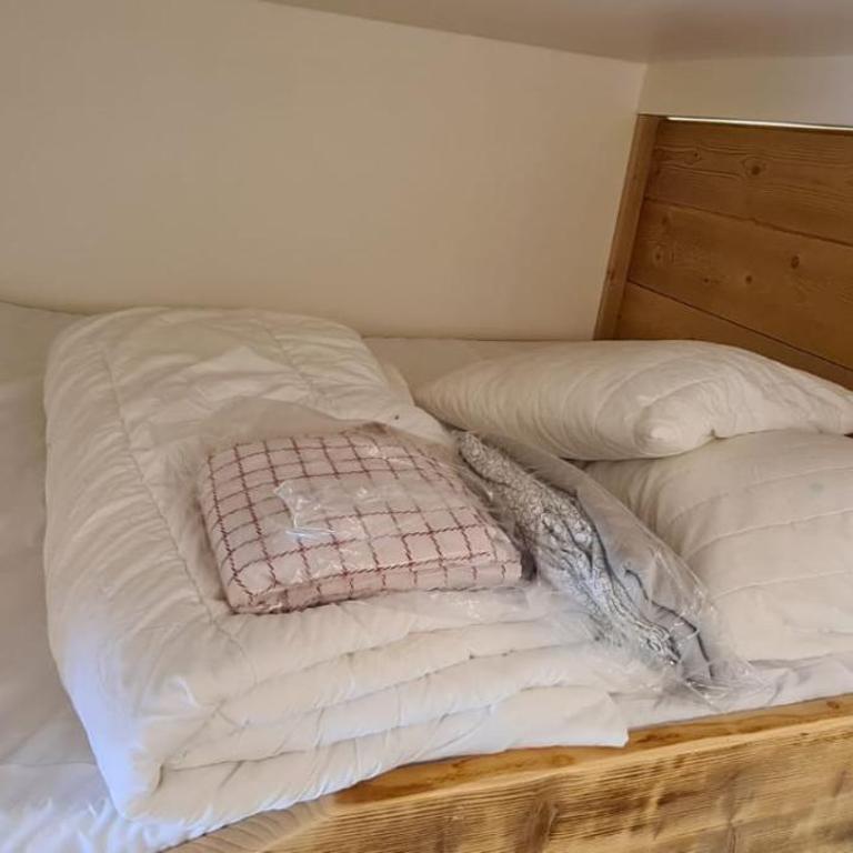 Centre Station: Altineige Cosy Appart pour 4 - Appartement - 9