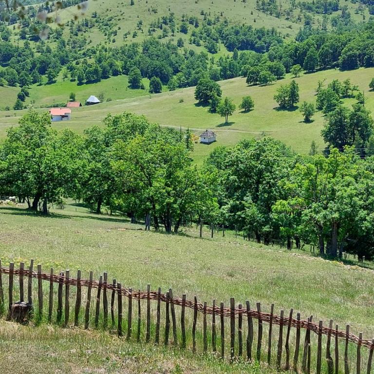IVA - Apartman sa 1 Spavaćom Sobom - 18