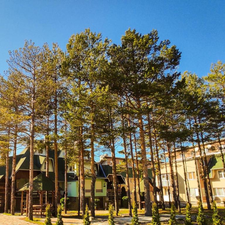 BonaMi Divcibare - Apartman sa 2 Spavaće Sobe - 6