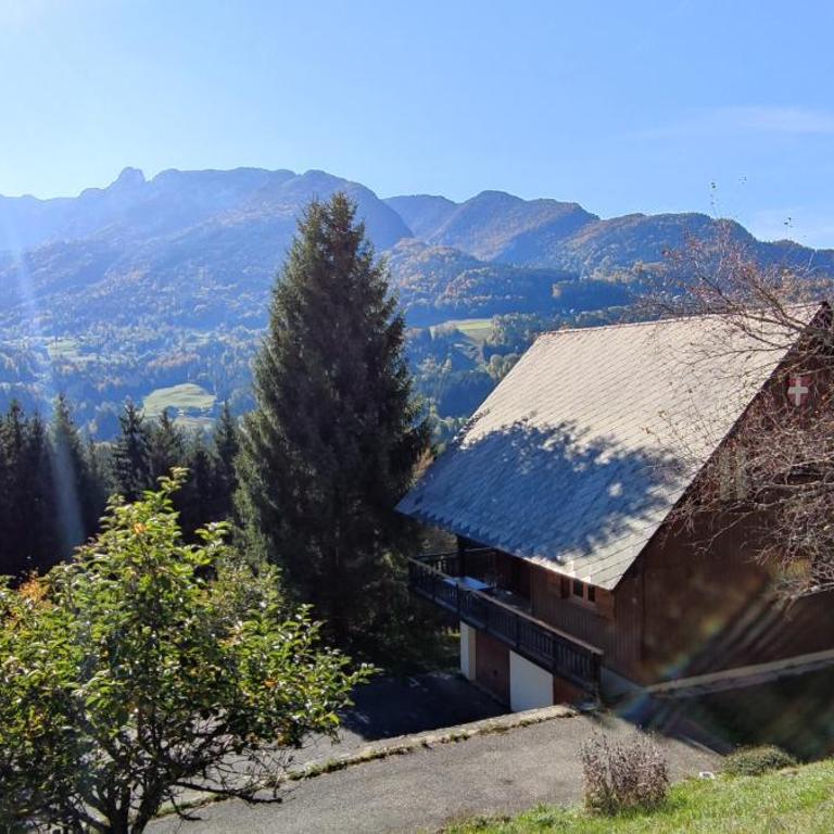 Chalet l'Alpe - Chalet 3 Chambres - 49