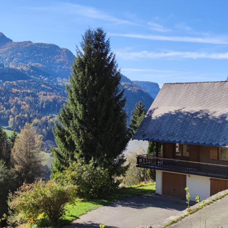 Chalet l'Alpe - Chalet 3 Chambres - 5