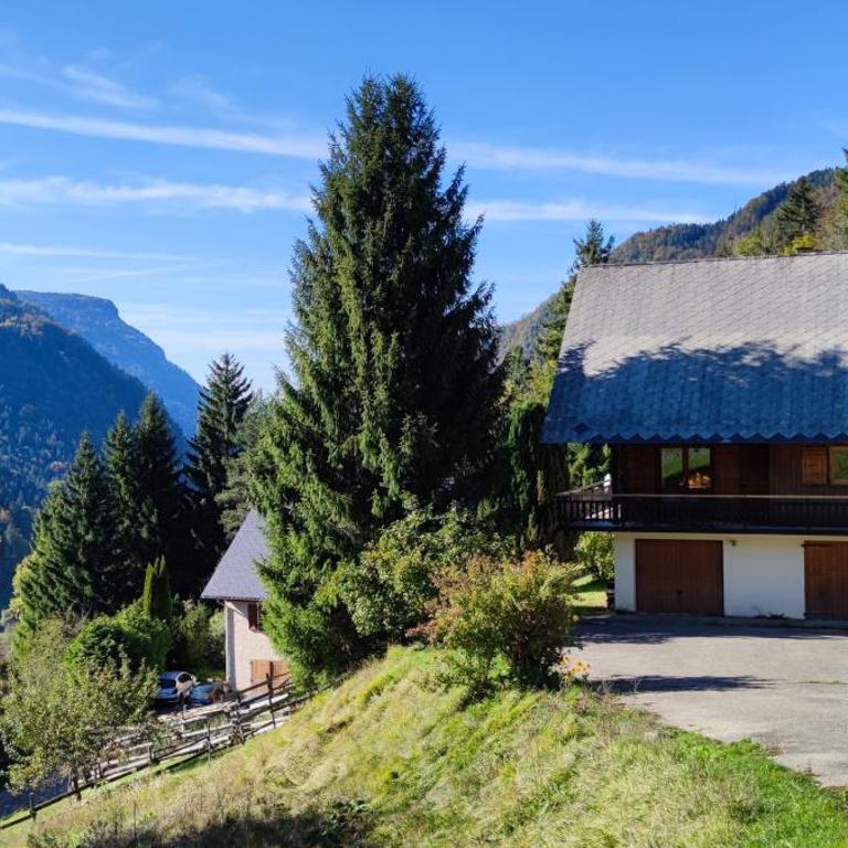 Chalet l'Alpe - Chalet 3 Chambres - 50