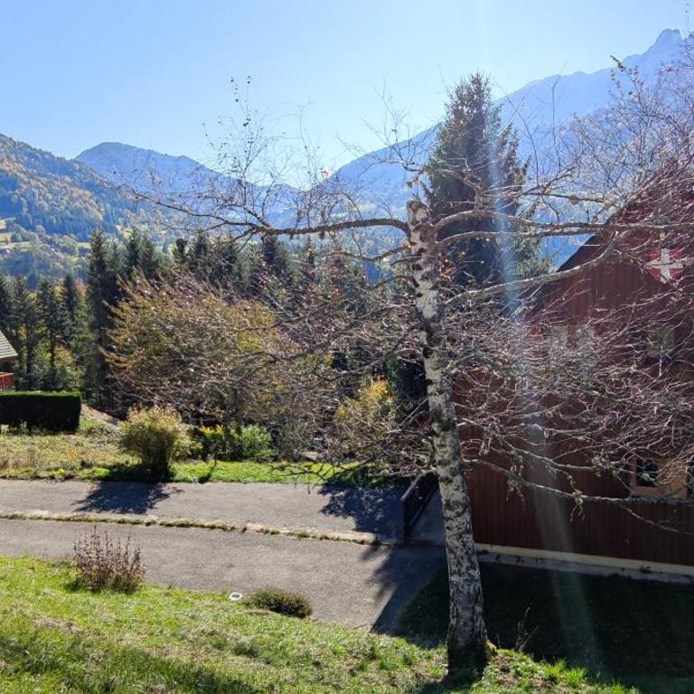 Chalet l'Alpe - Chalet 3 Chambres - 8