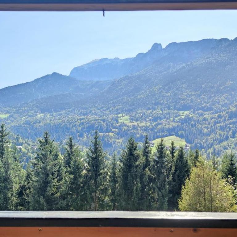 Chalet l'Alpe - Chalet 3 Chambres - 42