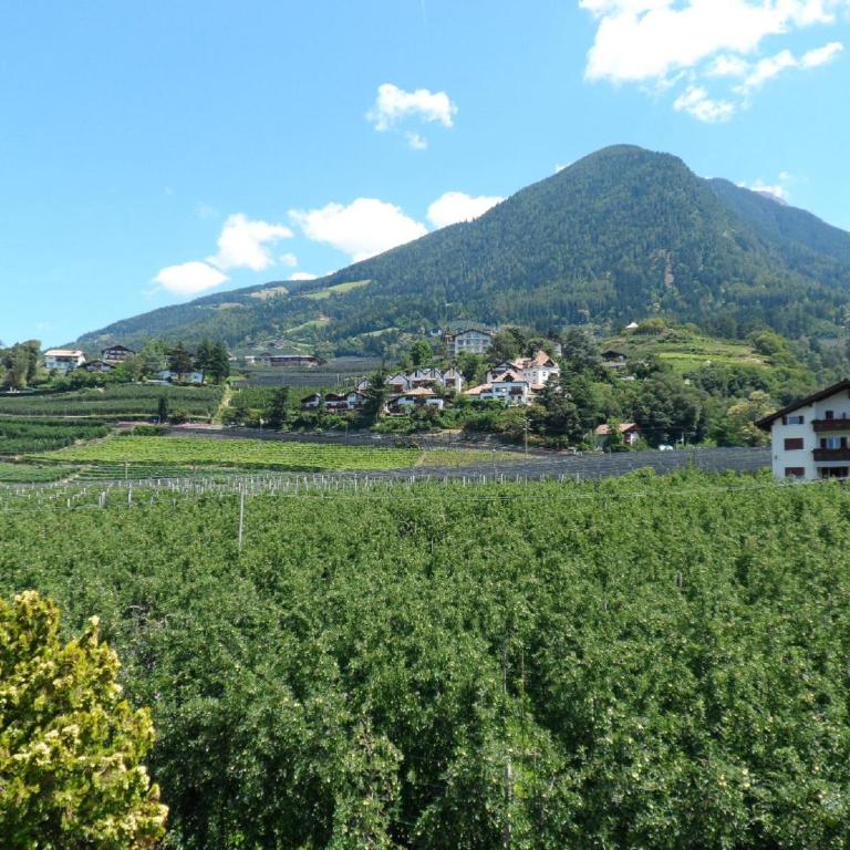 Hotel Pension Verdorfer - Suite con Balcone (2 Adulti) - 1