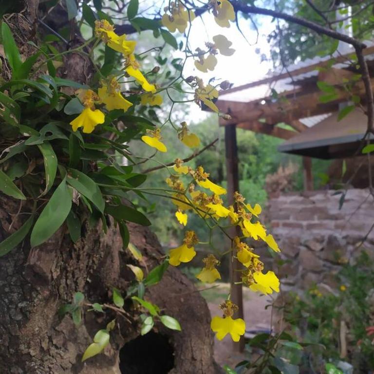 Casa con pileta y quincho en sierras chicas - Casa Unifamiliar de 3 dormitorios - 8