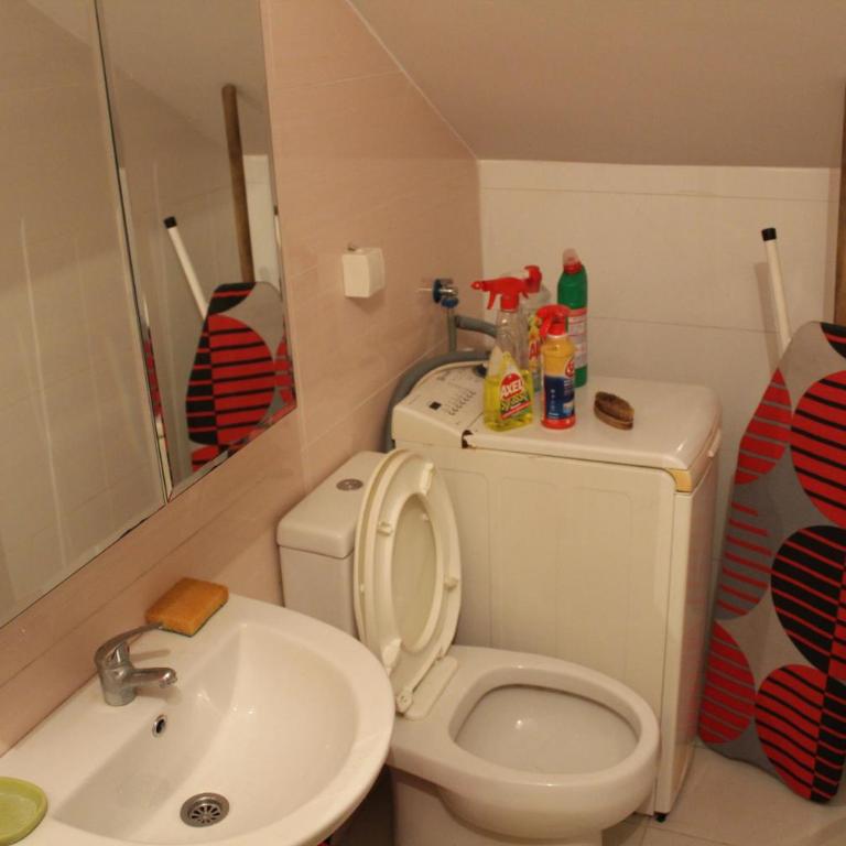 Apartman Minja - Apartman sa 1 Spavaćom Sobom - 10