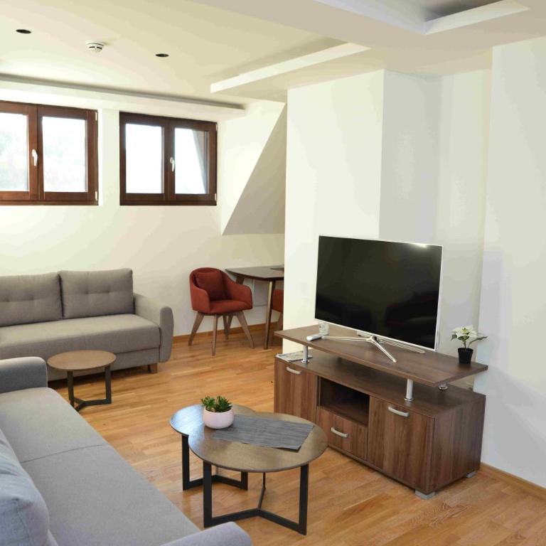 Vila Irina Kopaonik - Apartman sa 2 Spavaće Sobe - 11