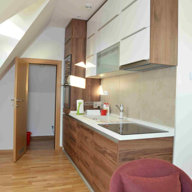 Vila Irina Kopaonik - Apartman sa 2 Spavaće Sobe - 14