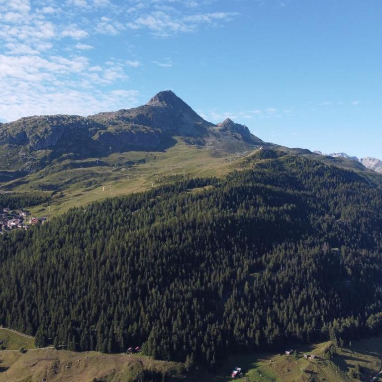 Chalet Foresta - Apartment - Erdgeschoss - 33