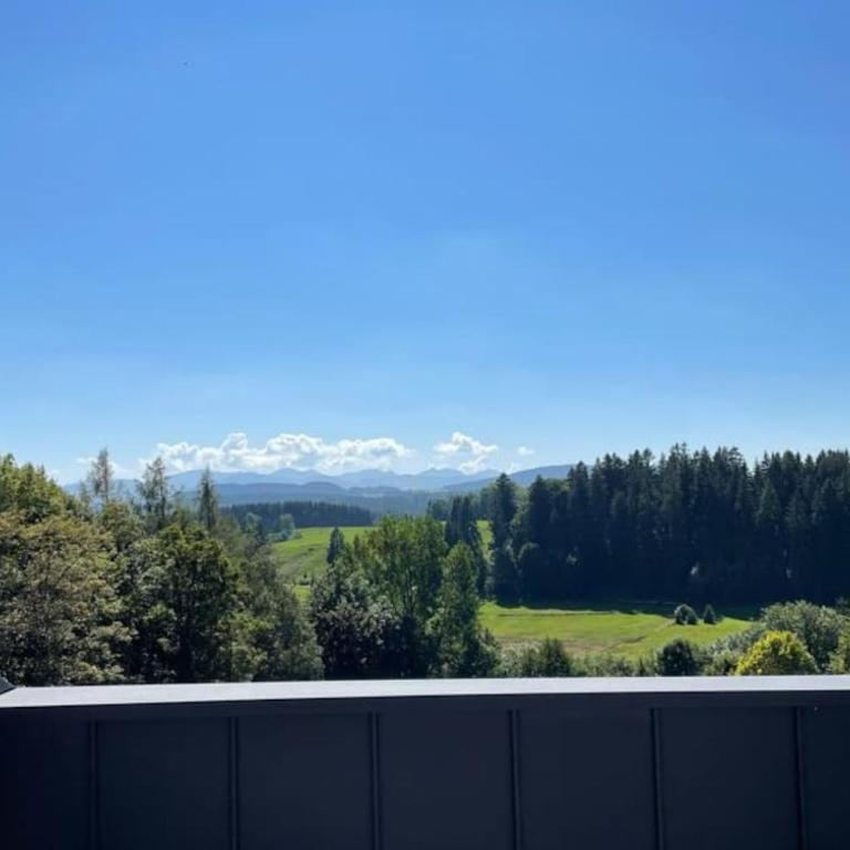 Traumhafter Bergblick im Allgäuer Luftkurort - Apartment mit 1 Schlafzimmer - 1
