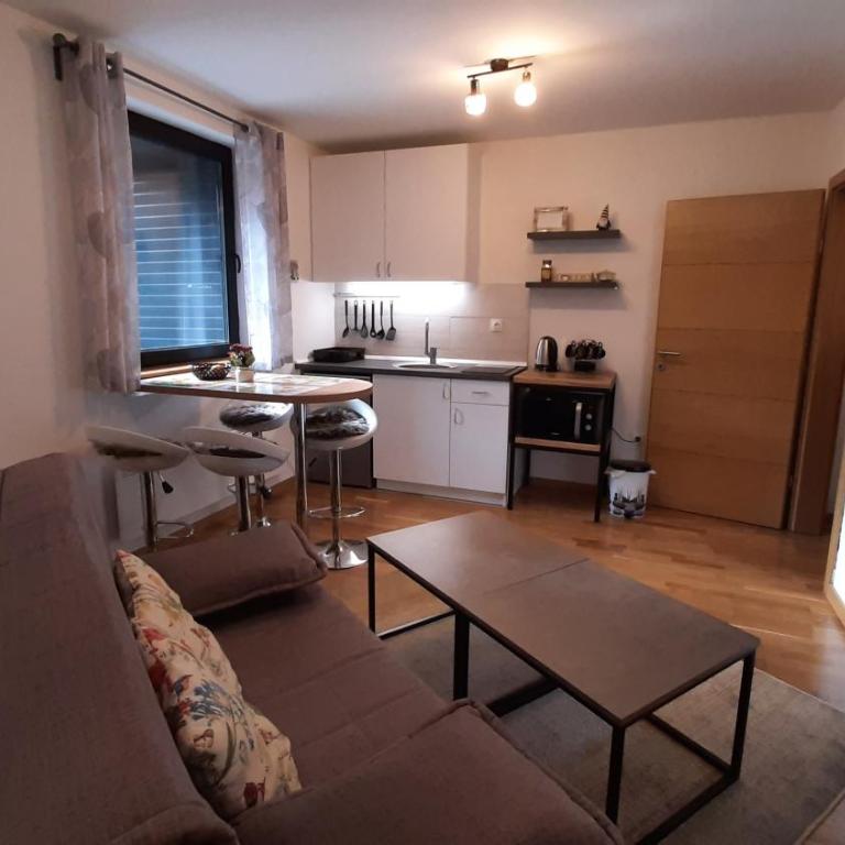 Vila Eskim Jahorina, apartman DB 301 - One-Bedroom Apartment - 14