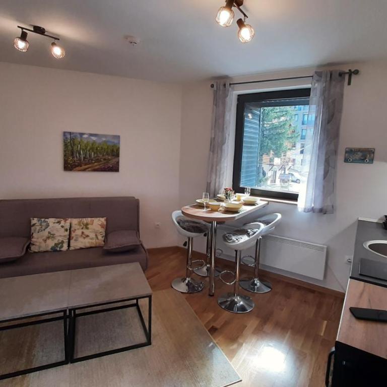 Vila Eskim Jahorina, apartman DB 301 - One-Bedroom Apartment - 11