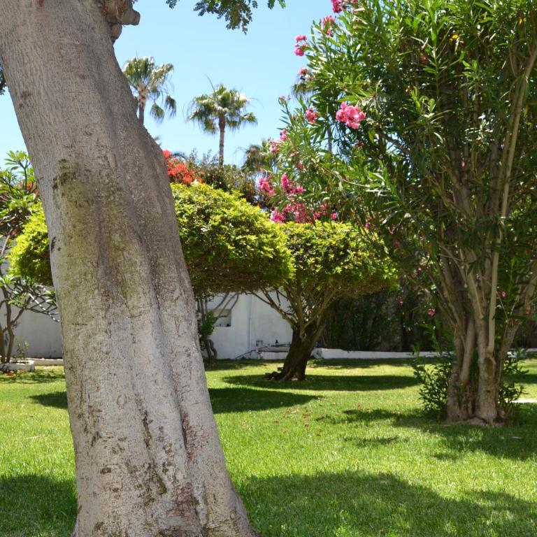 Apartamentos Don Quijote - Apartamento de 1 dormitorio (2-3 adultos) - 9