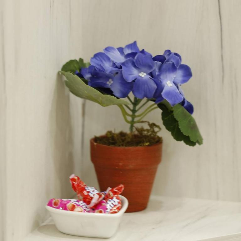 Apartment Alexandar - Apartman sa 2 Spavaće Sobe - 38