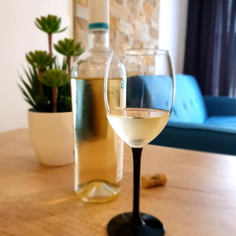 Milmari Lux Apartment S&M Kopaonik - Apartman sa 1 Spavaćom Sobom - 2