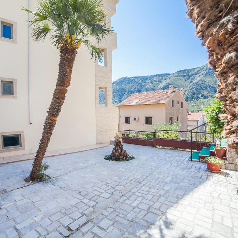 Apartments Castello - Standard Apartment - 1