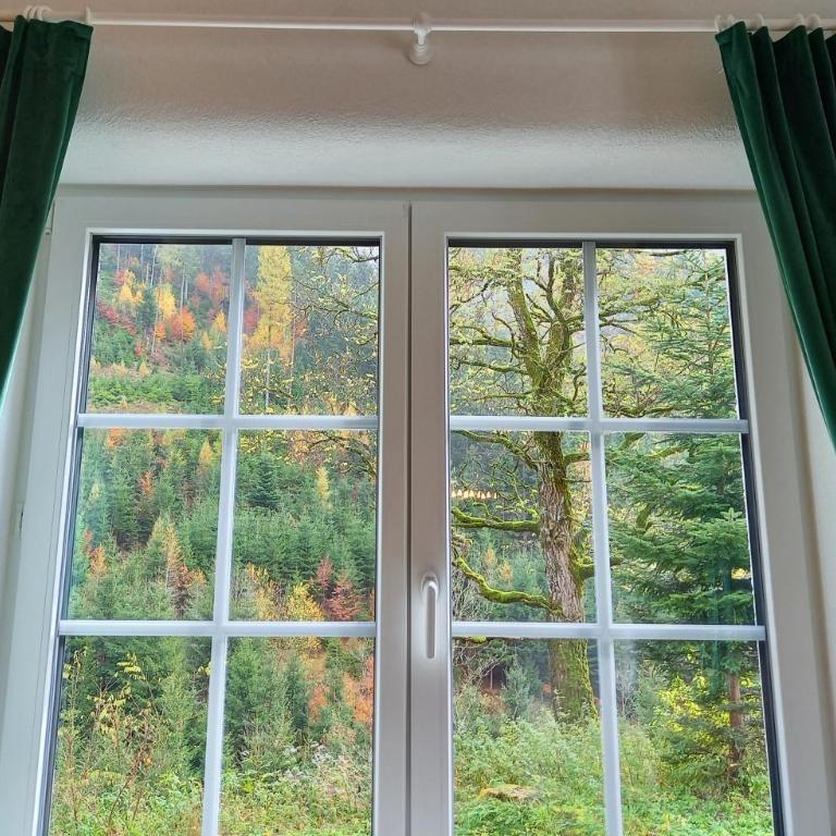 Landhaus Grünjuwel - Deluxe Apartment - 17