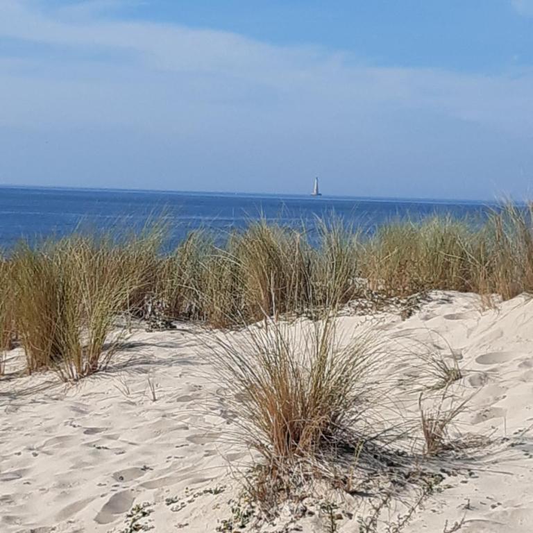 Appt 40m2 Résidence 3*** 10mn plages - Apartment mit 2 Schlafzimmern - 20
