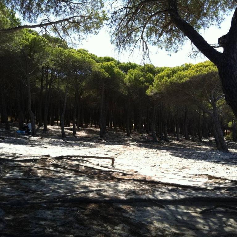 Case Vacanze Budoni Beach - Appartamento con 2 Camere da Letto - 15