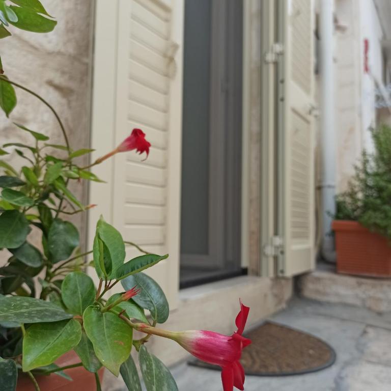 Casetta Elilù - Casa con 1 Camera da Letto - 15