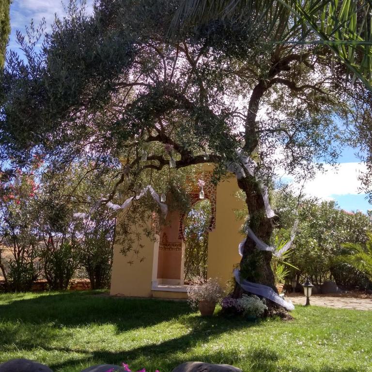 Andalusian experience - Villa Deluxe - 61
