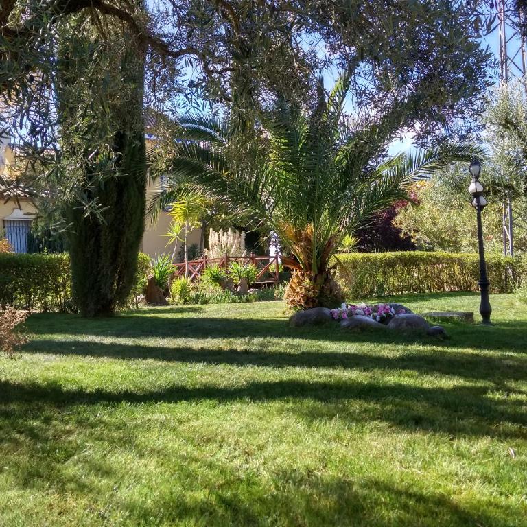 Andalusian experience - Villa Deluxe - 64
